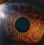 Image result for Eye Diagram with Labels