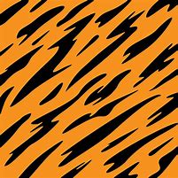 Image result for Tiger Stripe Camo Hoodie