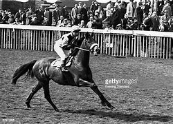 Image result for English Horse Racing