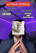 Image result for Cat Meme Trade You Get Me