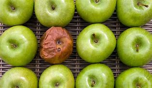 Image result for Fresh and Rotten Apple