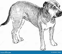 Image result for Old Dog Drawing