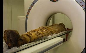 Image result for Mummies Disease in Mushroom