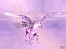 Image result for Winged Black Unicorn