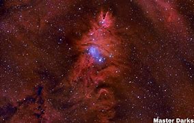 Image result for Fox Fur Nebula Bing