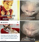Image result for Grumpy Cat Meme Death