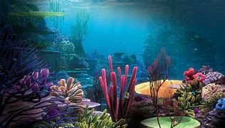 Image result for Underwater Landscape Wallpaper