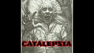 Image result for catatipia
