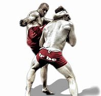 Image result for MMA Clip Art