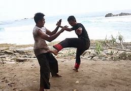 Image result for Silat Styles