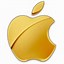 Image result for Gold Apple Programming Logo