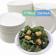 Image result for Disposable Paper Diet Plates