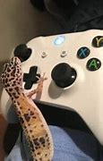 Image result for Funny Xbox Profile Pictures