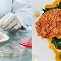 Image result for FDA approves lab-grown chicken product