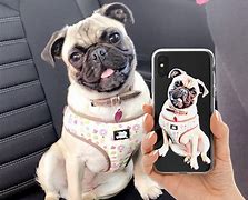 Image result for Personalise Dog Phone Case