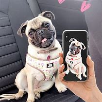Image result for Phone Cases Smartphones Dog