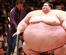 Image result for Sumo Wrestler Weight