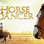 Image result for New Horse Movies