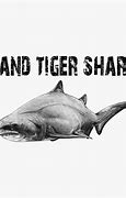 Image result for Doogie List Sand Tiger