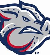 Image result for Lehigh Valley Logo.png