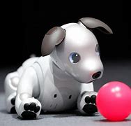 Image result for Sony Robot Dog