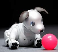 Image result for Aibo Robot Dog