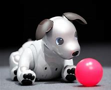 Image result for Aibo Robot Dog Used