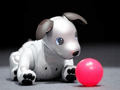 Image result for Sony Aibo Price