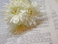 Image result for 30-Day Bible Challenge