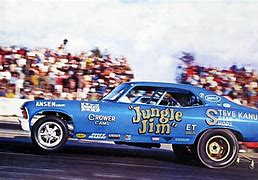 Image result for Funny Cars Drag Racing