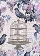 Image result for Cage Bird iPhone Wallpaper