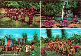 Image result for Bachata Dance Art