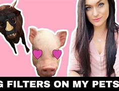 Image result for Snapchat Filters Pets