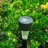 Image result for Broics Solar Pathway Lights