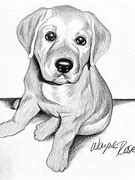 Image result for Cute Puppy Pencil Drawings