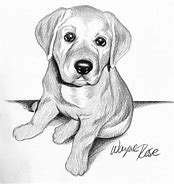 Image result for Beautiful Pencil Drawings of Dogs