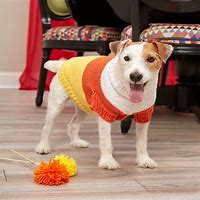 Image result for Free Dog Sweater Knitting Patterns