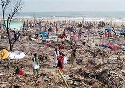 Image result for Bodies After Tsunami