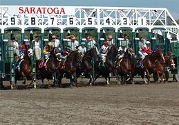 Image result for Horse in a Starting Gate