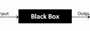 Image result for What's Tis Black Box Onmy iPhone Cord