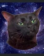 Image result for Zone Out Cat Meme