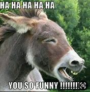 Image result for Funny Donkey Memes