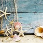 Image result for Shell Background