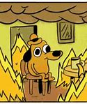 Image result for Fine This Is Dog Meme On Fire GIF