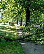 Image result for Sudden Limb Drop