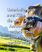 Image result for Spaß Bilder Zum Lach En