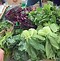 Image result for Organic Farmers Market