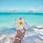 Image result for Cute Girly Summer Wallpaper