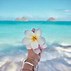 Image result for Summer iPad Wallpaper