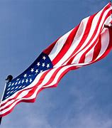 Image result for USA American Symbols